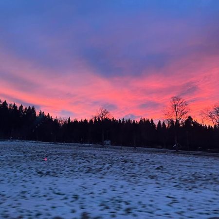 Waldhotel Zoebischhaus Bad Reiboldsgrün Esterno foto